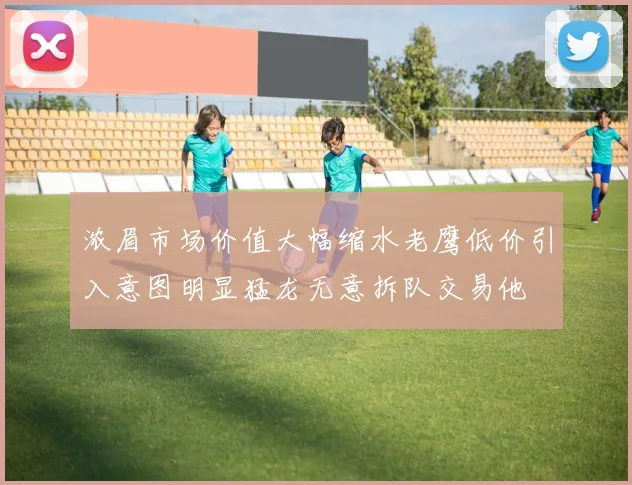 浓眉市场价值大幅缩水老鹰低价引入意图明显猛龙无意拆队交易他