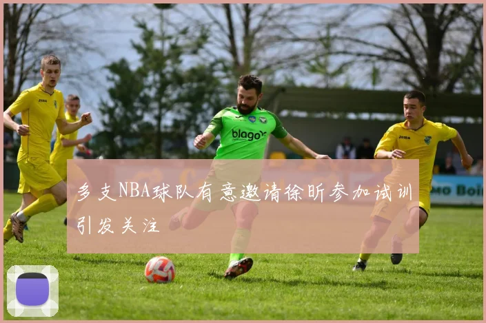 多支NBA球队有意邀请徐昕参加试训引发关注